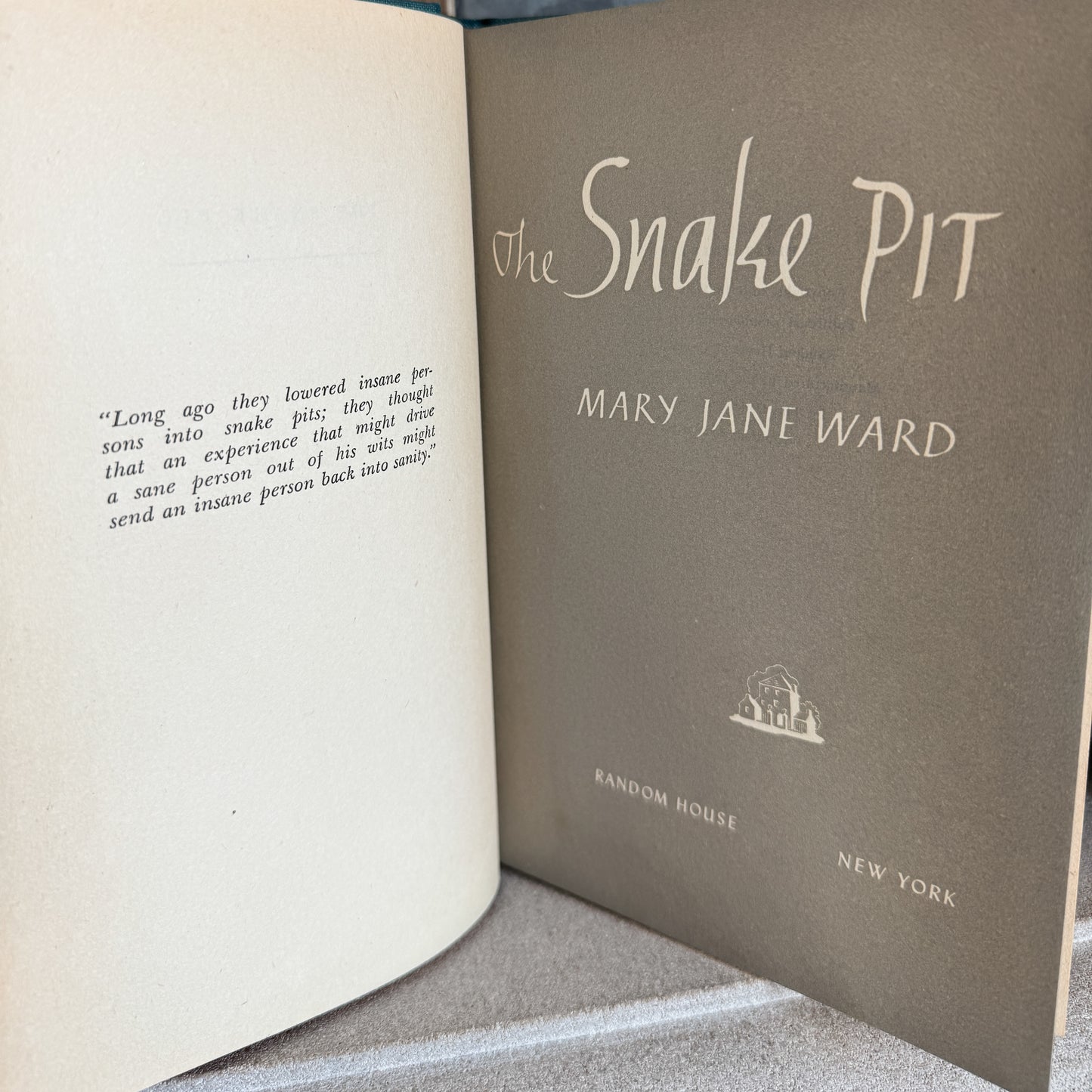 Vintage The Snake Pit by Mary Jane Ward (1946)